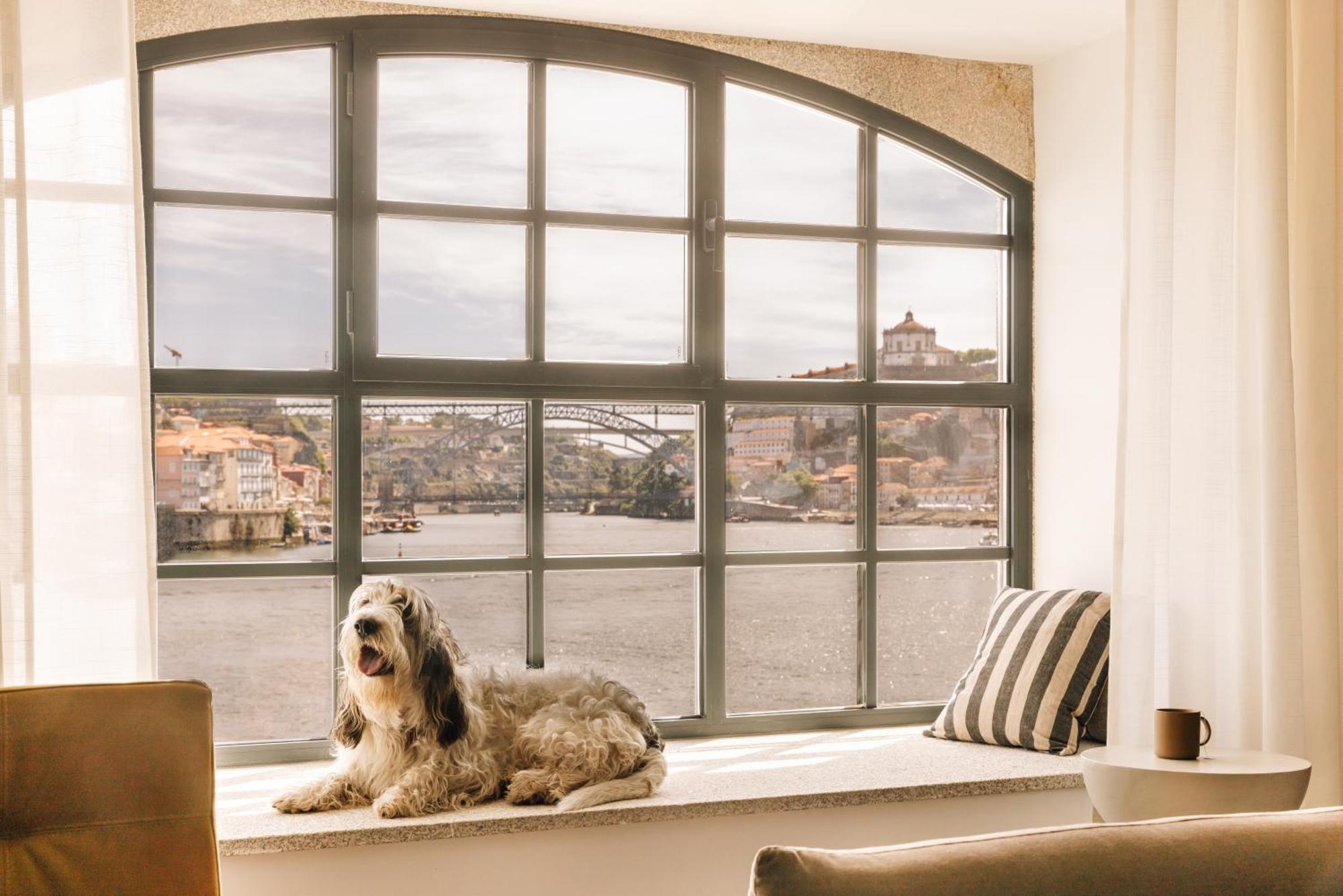 The Rebello Hotel & Spa - Small Luxury Hotels Of The World Vila Nova de Gaia Kültér fotó A window with a dog